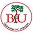 BIU logo